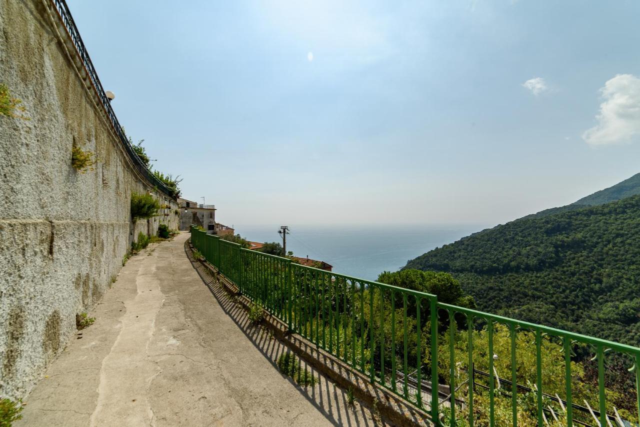 Vietri The Sea Stars House: A Gem On The Amalfi Coast!ヴィラ エクステリア 写真